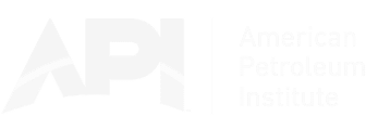 API Logo